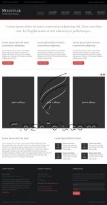Molecular - Free PSD Template