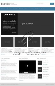 BodyFit - Free PSD Template