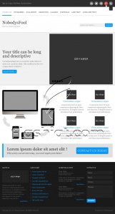 NobodysFool - Free PSD Template