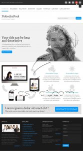 NobodysFool - Free PSD Template