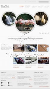 CleanWeb - Free PSD Template