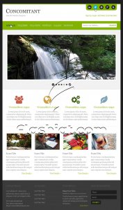 Concomitant - Free PSD Template