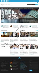 Euonymus - Free PSD Template