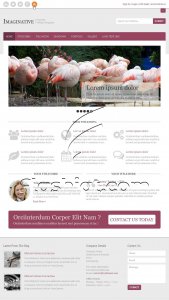 Imaginative - Free PSD Template