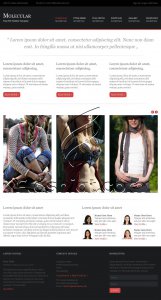 Molecular - Free PSD Template