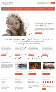 Taintlessness - Free PSD Template