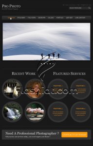 Pro Photo - Free PSD Template