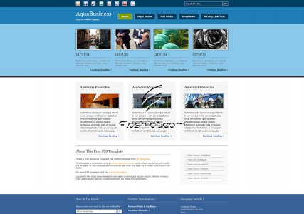 AquaBusiness - Free XHTML & CSS Template