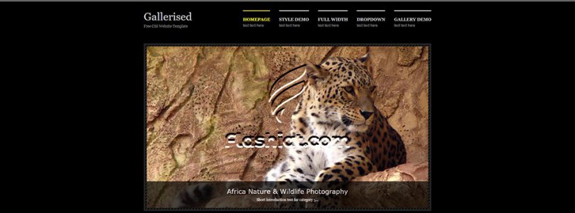 Gallerised - Free XHTML & CSS Template
