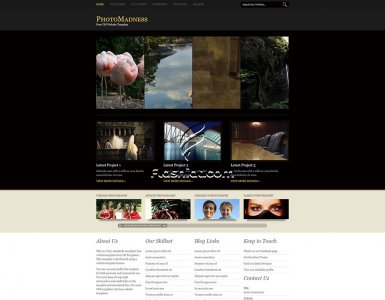 PhotoMadness - Free XHTML & CSS Template