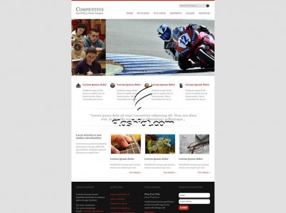 Competitive - Free HTML5 & CSS Template