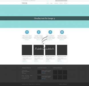 Trine - Free HTML5 & CSS Template