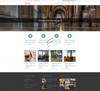 Trine - Free HTML5 & CSS Template