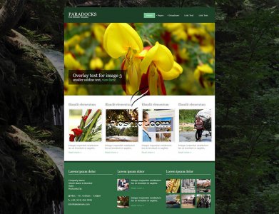 Paradocks - Free HTML5 & CSS Template