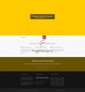 Marvel - Free HTML5 & CSS Template