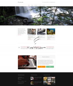 Flawless - Free HTML5 & CSS Template