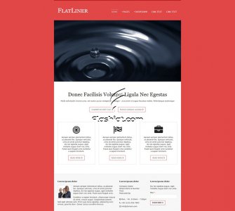 FlatLiner - Free HTML5 & CSS Template