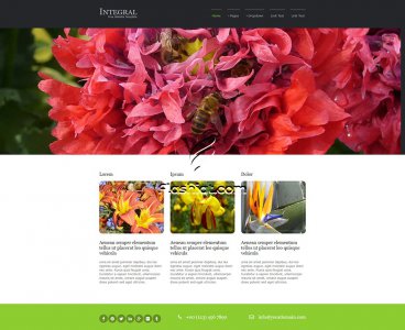 Integral - Free HTML5 & CSS Template