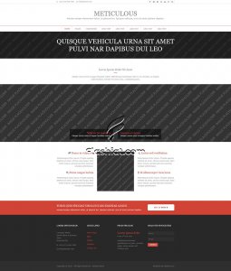 Meticulous - Free HTML5 & CSS Template