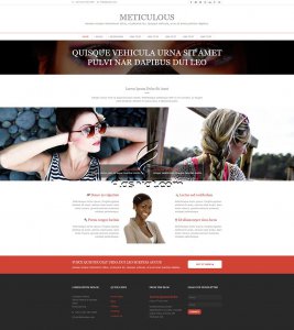 Meticulous - Free HTML5 & CSS Template