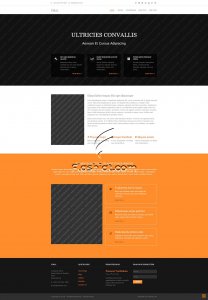 Viral - Free HTML5 & CSS Template