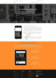 Viral - Free HTML5 & CSS Template