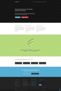 Energetic - Free HTML5 & CSS Template