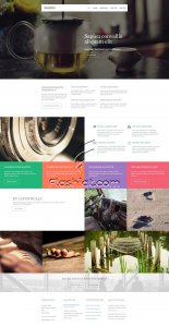 Nightly - Free HTML5 & CSS Template