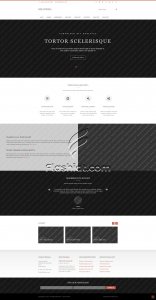 Meanessa - Free HTML5 & CSS Template