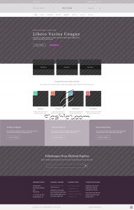 Belstorm - Free HTML5 & CSS Template