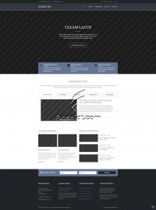 Escarine-Biz - Free HTML5 & CSS Template