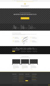 Multiswift - Free HTML5 & CSS Template