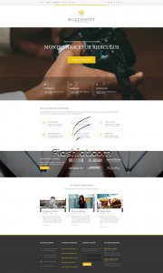 Multiswift - Free HTML5 & CSS Template