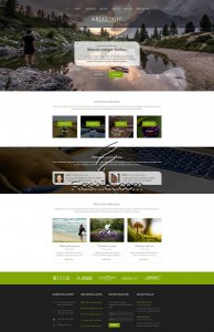 Arialogic - Free HTML5 & CSS Template