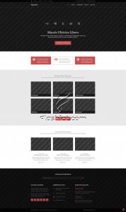 Pesaton - Free HTML5 & CSS Template