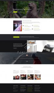 Etours - Free HTML5 & CSS Template