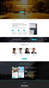 Nubumous - Free HTML5 & CSS Template