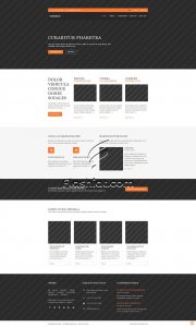Ossibird - Free HTML5 & CSS Template