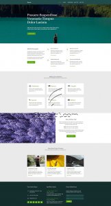 Kiraric - Free HTML5 & CSS Template