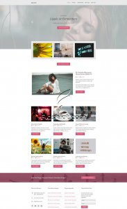 Skaxis - Free HTML5 & CSS Template