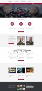 WaveFire - Free HTML5 & CSS Template