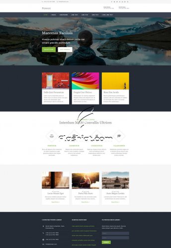 Pedggie - Free HTML5 & CSS Template - Flashiat