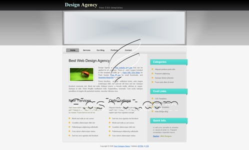Agency - Free XHTML & CSS Template