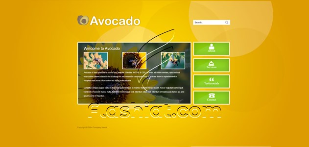 Avocado - Free HTML5 & CSS Template