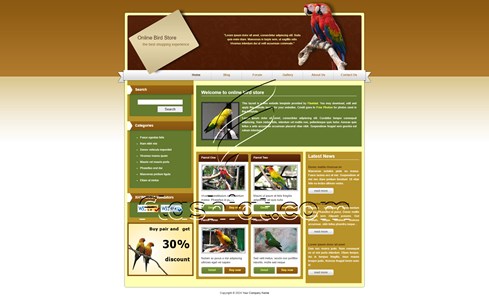 Bird Store - Free XHTML & CSS Template