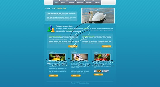 Blue - Free XHTML & CSS Template