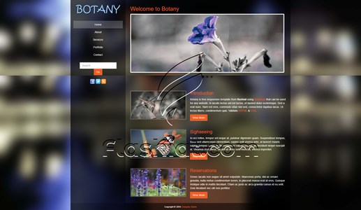 Botany - Free HTML5 & CSS Template