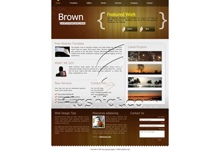 Brown 2 - Free XHTML & CSS Template
