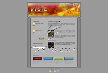 Chrome - Free XHTML & CSS Template