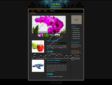City Blog - Free XHTML & CSS Template